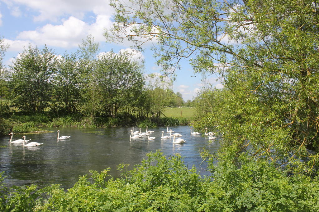 Отель The Swan At Stoford Stapleford  Экстерьер фото